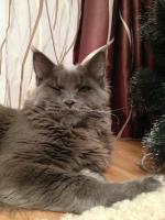 ������������� �����������