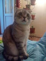 ������������� �����������