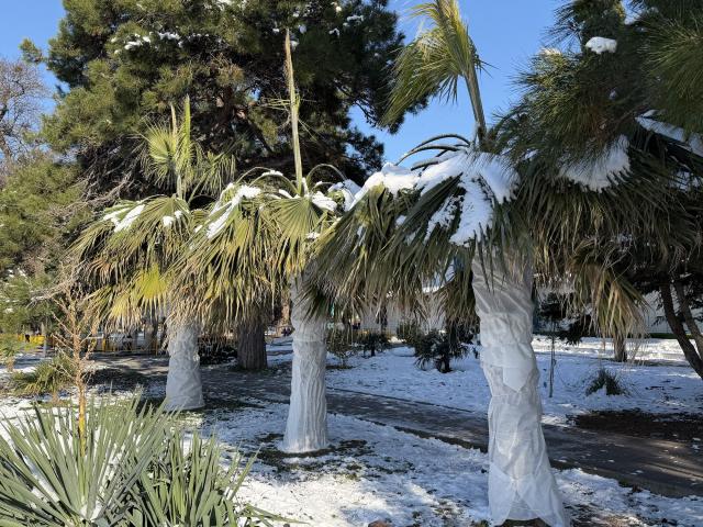 ������������� �����������