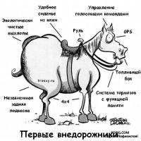 ������������� �����������