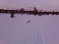 ������������� �����������