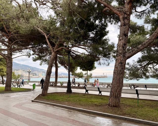 ������������� �����������