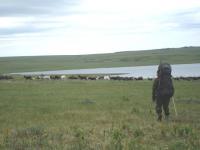 ������������� �����������