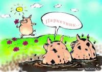 ������������� �����������