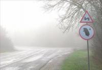 ������������� �����������