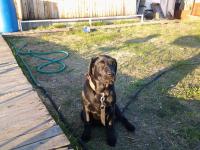 ������������� �����������