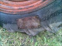 ������������� �����������