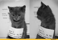 ������������� �����������