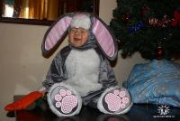 ������������� �����������