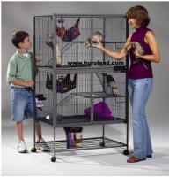 ������������� �����������