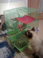 ������������� �����������