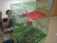 ������������� �����������