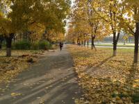 ������������� �����������