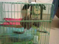 ������������� �����������