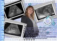 ������������� �����������