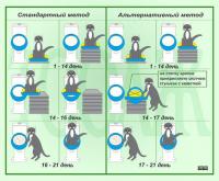 ������������� �����������