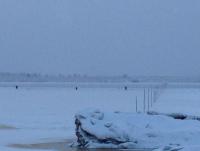 ������������� �����������