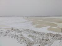 ������������� �����������