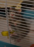 ������������� �����������