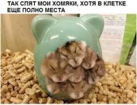 ������������� �����������