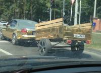 ������������� �����������