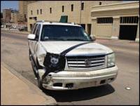 ������������� �����������