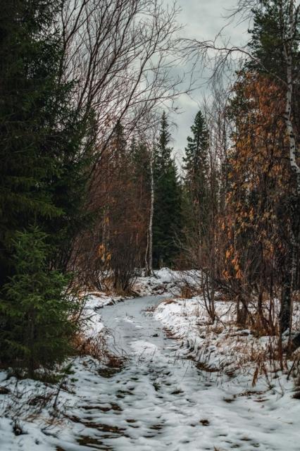 ������������� �����������